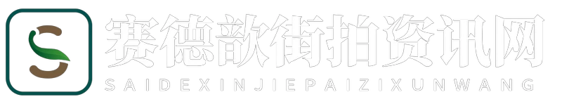 赛德歆街拍资讯网